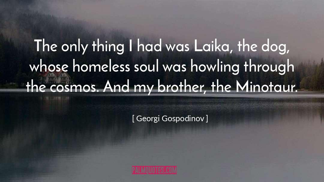 Georgi Gospodinov Quotes: The only thing I had