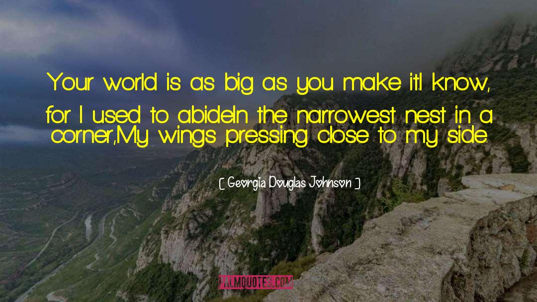 Georgia Douglas Johnson Quotes: Your world is as big