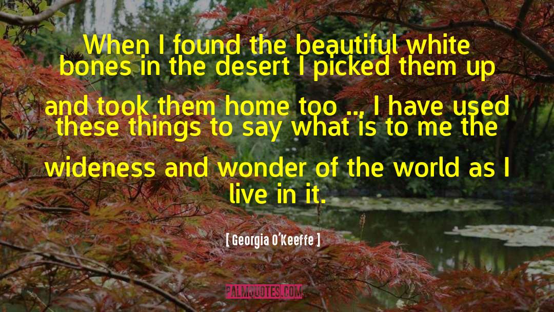 Georgia O'Keeffe Quotes: When I found the beautiful