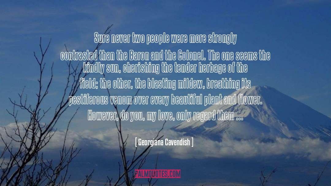 Georgiana Cavendish Quotes: Sure never two people were