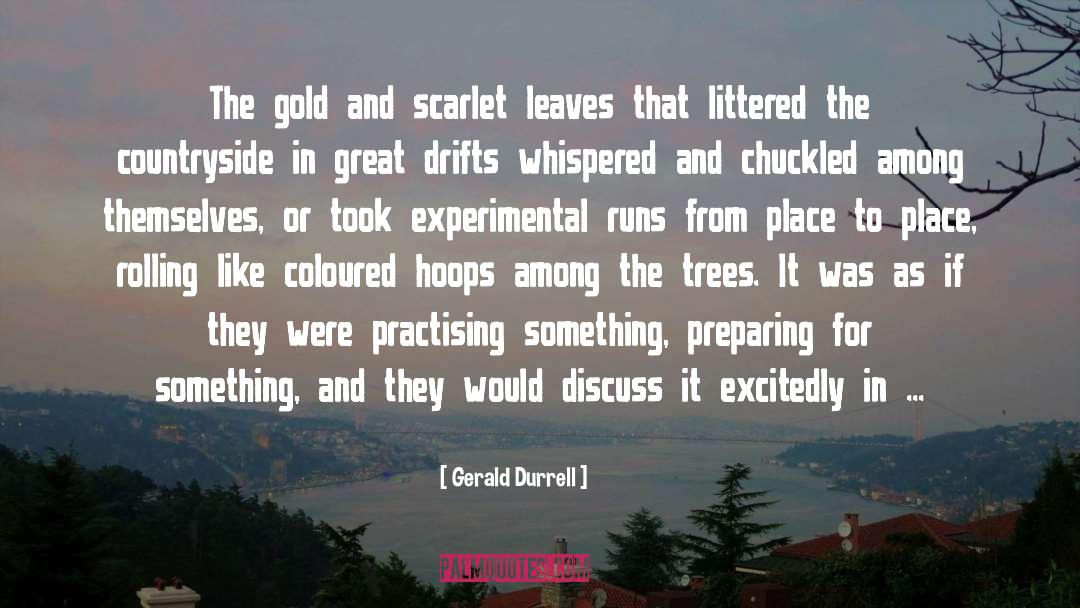 Gerald Durrell Quotes: The gold and scarlet leaves