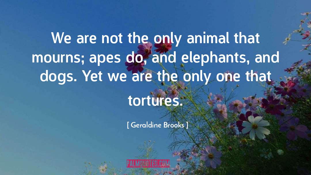 Geraldine Brooks Quotes: We are not the only