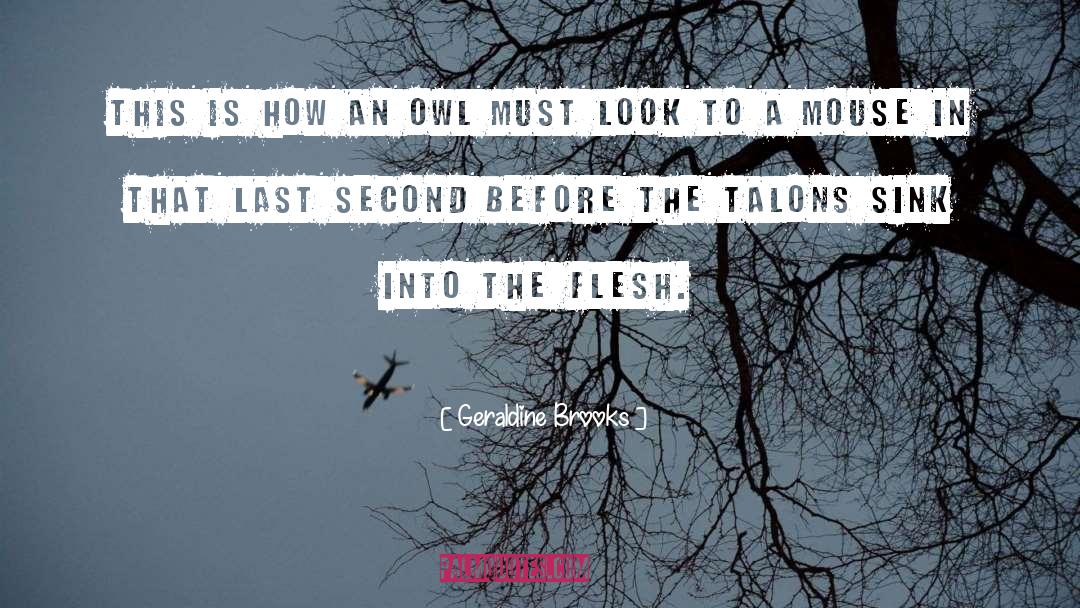 Geraldine Brooks Quotes: This is how an owl