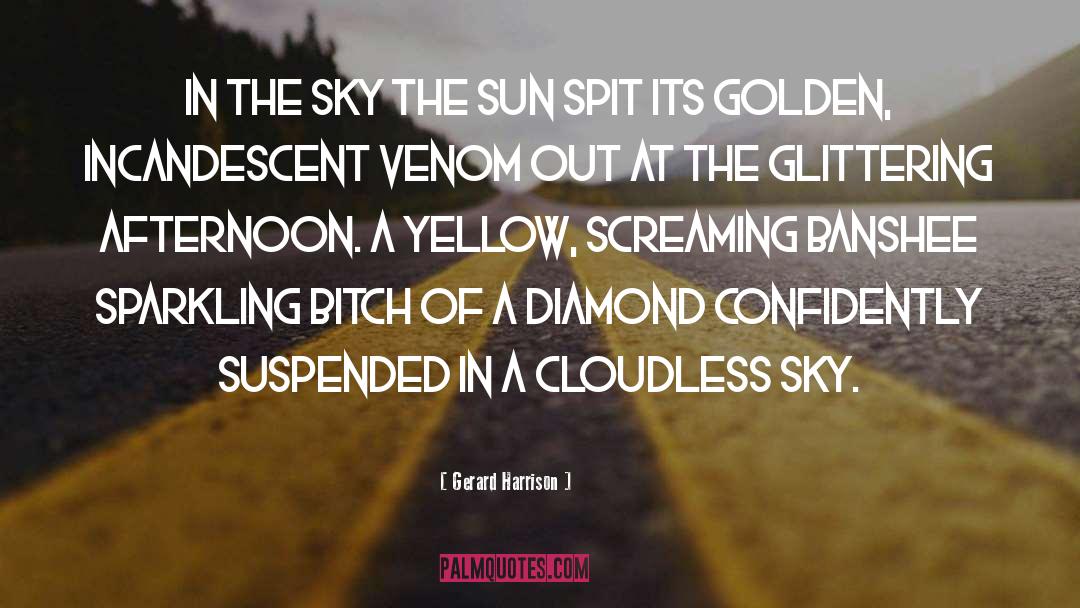 Gerard Harrison Quotes: In the sky the sun