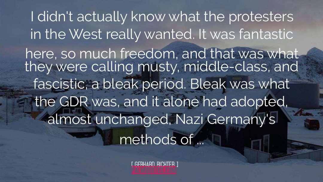 Gerhard Richter Quotes: I didn't actually know what