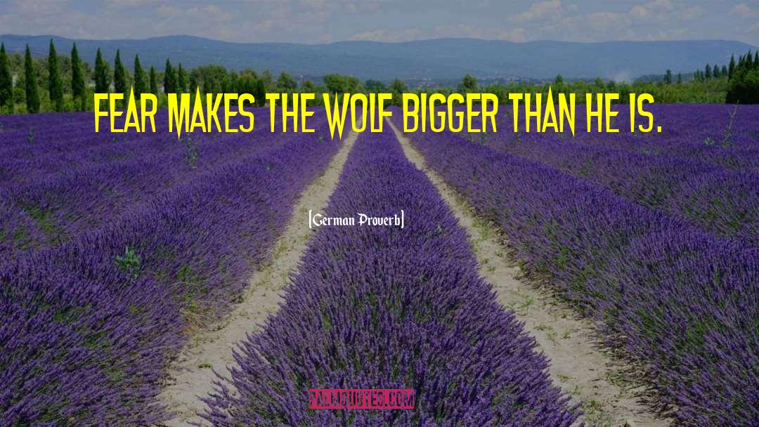 German Proverb Quotes: Fear makes the wolf bigger