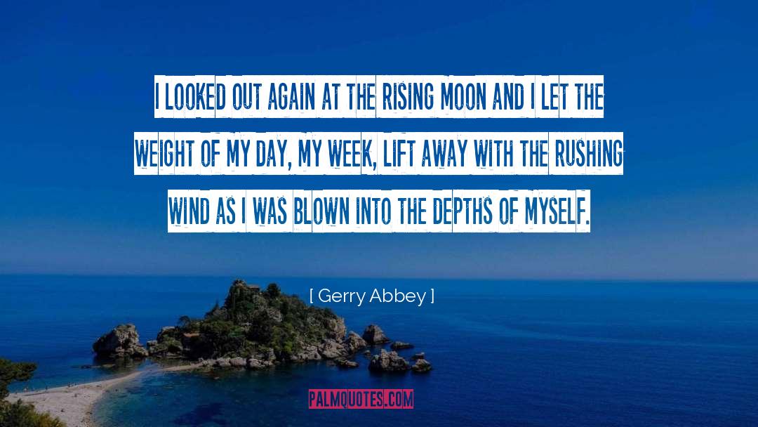 Gerry Abbey Quotes: I looked out again at