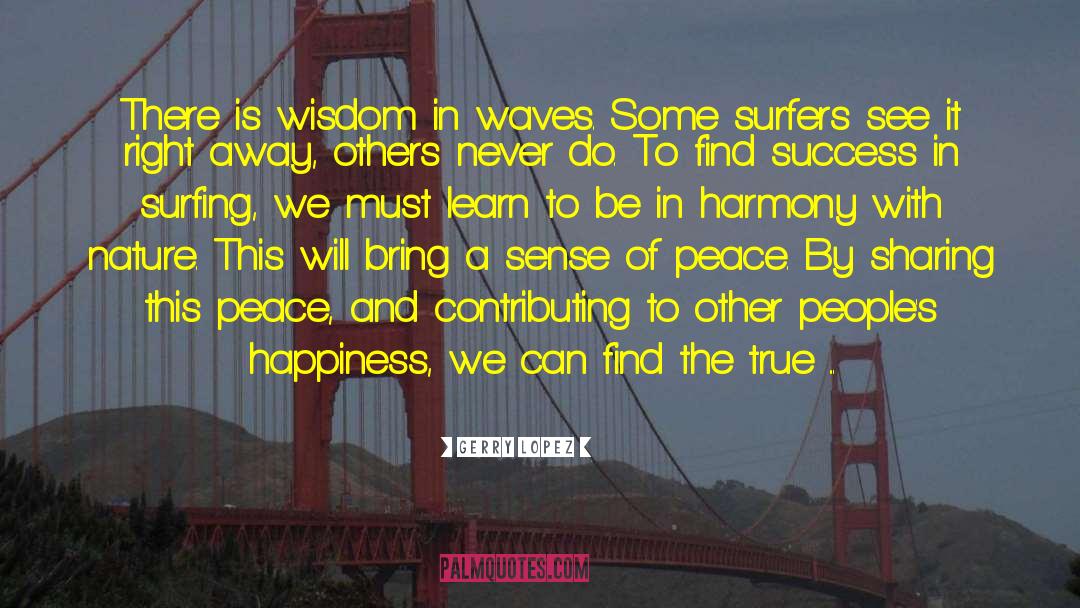 Gerry Lopez Quotes: There is wisdom in waves.