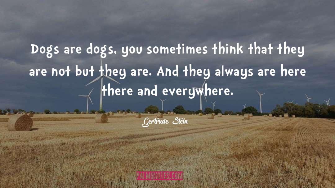 Gertrude Stein Quotes: Dogs are dogs, you sometimes