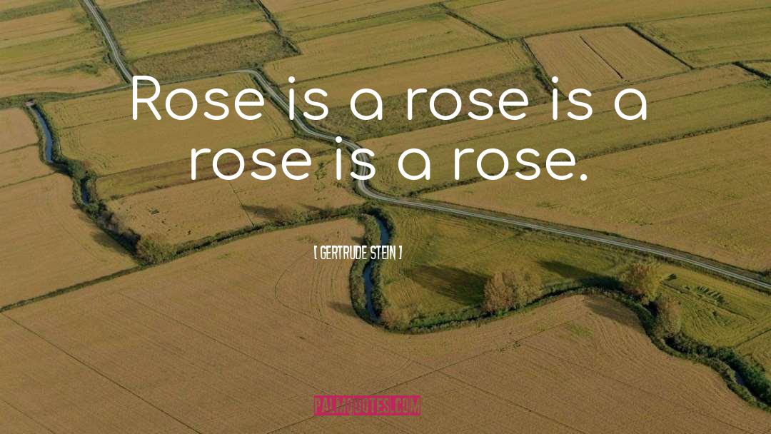 Gertrude Stein Quotes: Rose is a rose is