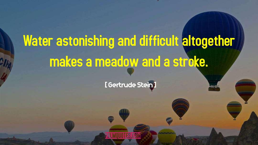 Gertrude Stein Quotes: Water astonishing and difficult altogether