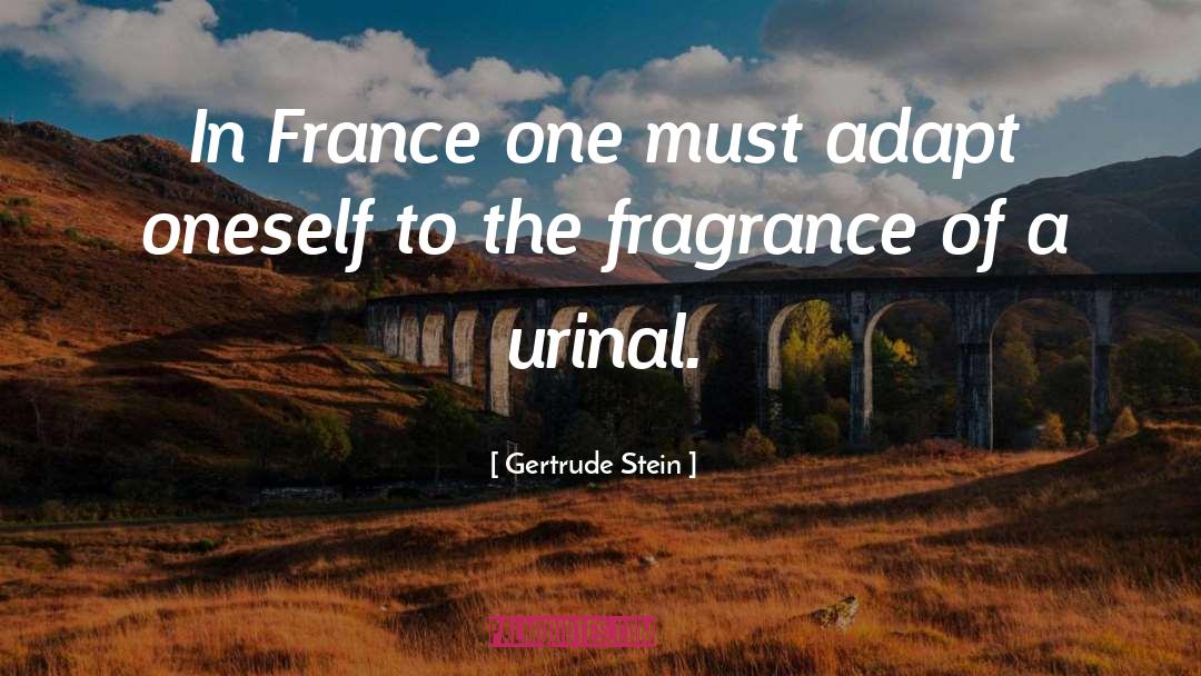 Gertrude Stein Quotes: In France one must adapt