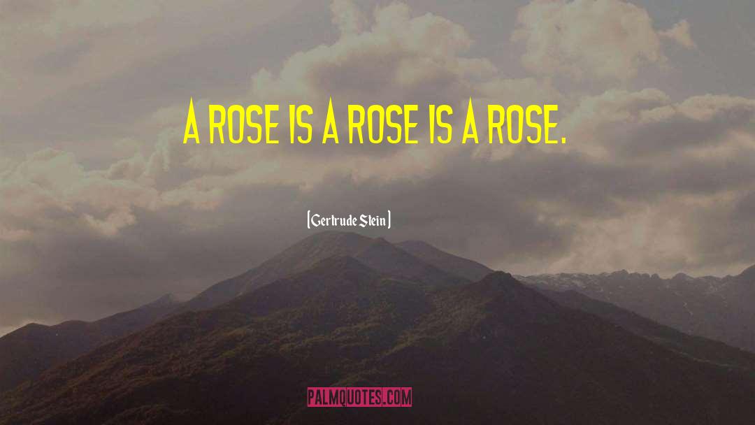 Gertrude Stein Quotes: A rose is a rose