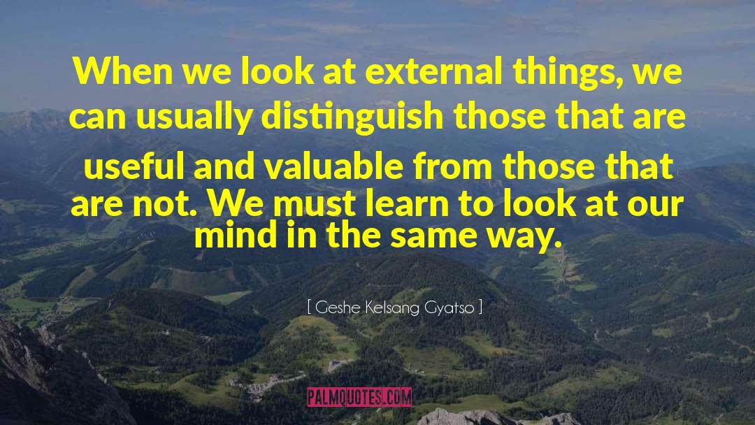 Geshe Kelsang Gyatso Quotes: When we look at external