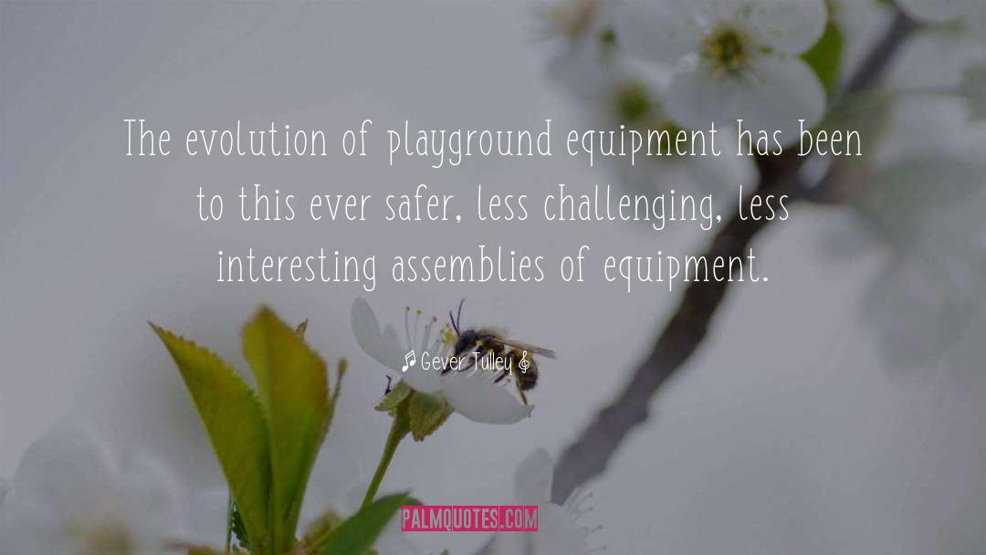 Gever Tulley Quotes: The evolution of playground equipment