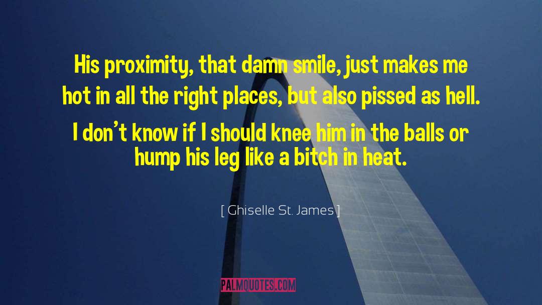 Ghiselle St. James Quotes: His proximity, that damn smile,