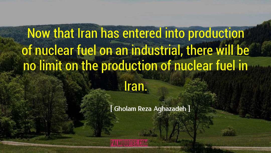 Gholam Reza Aghazadeh Quotes: Now that Iran has entered