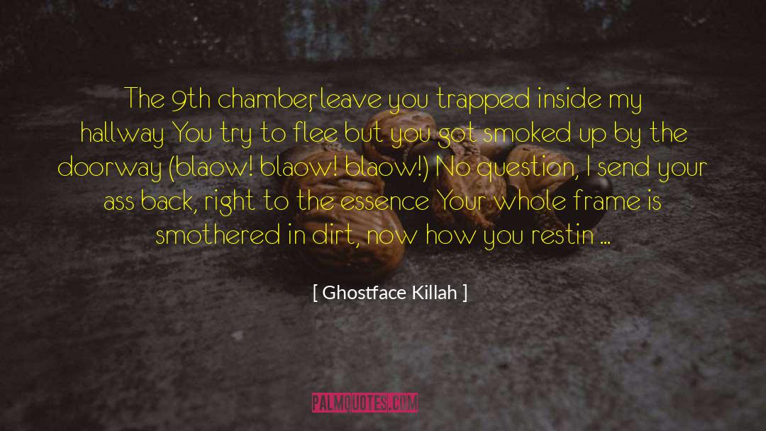 Ghostface Killah Quotes: The 9th chamber, leave you