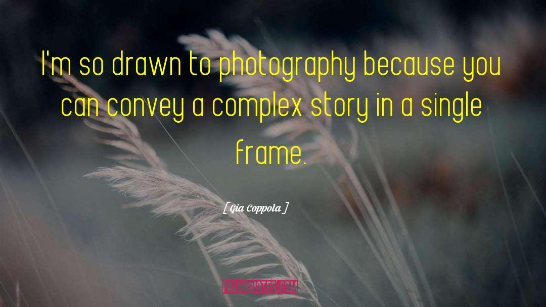 Gia Coppola Quotes: I'm so drawn to photography