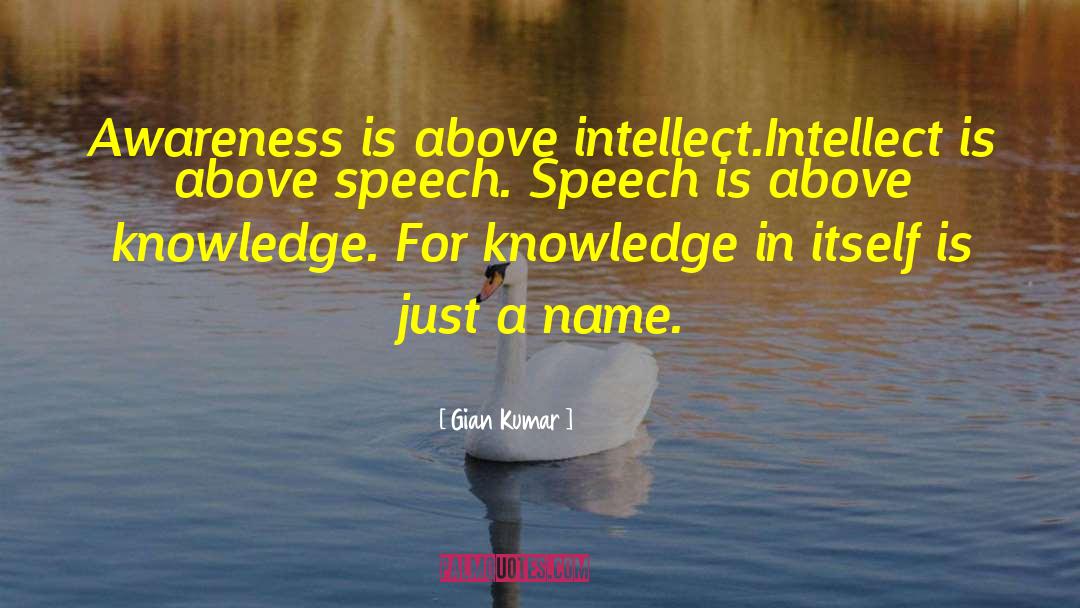 Gian Kumar Quotes: Awareness is above intellect.<br>Intellect is