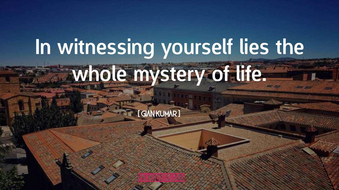 Gian Kumar Quotes: In witnessing yourself lies the