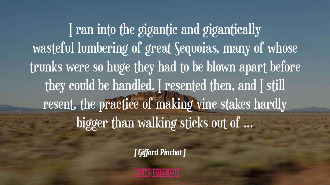 Gifford Pinchot Quotes: I ran into the gigantic