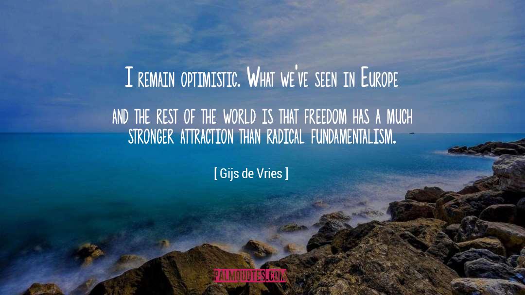 Gijs De Vries Quotes: I remain optimistic. What we've