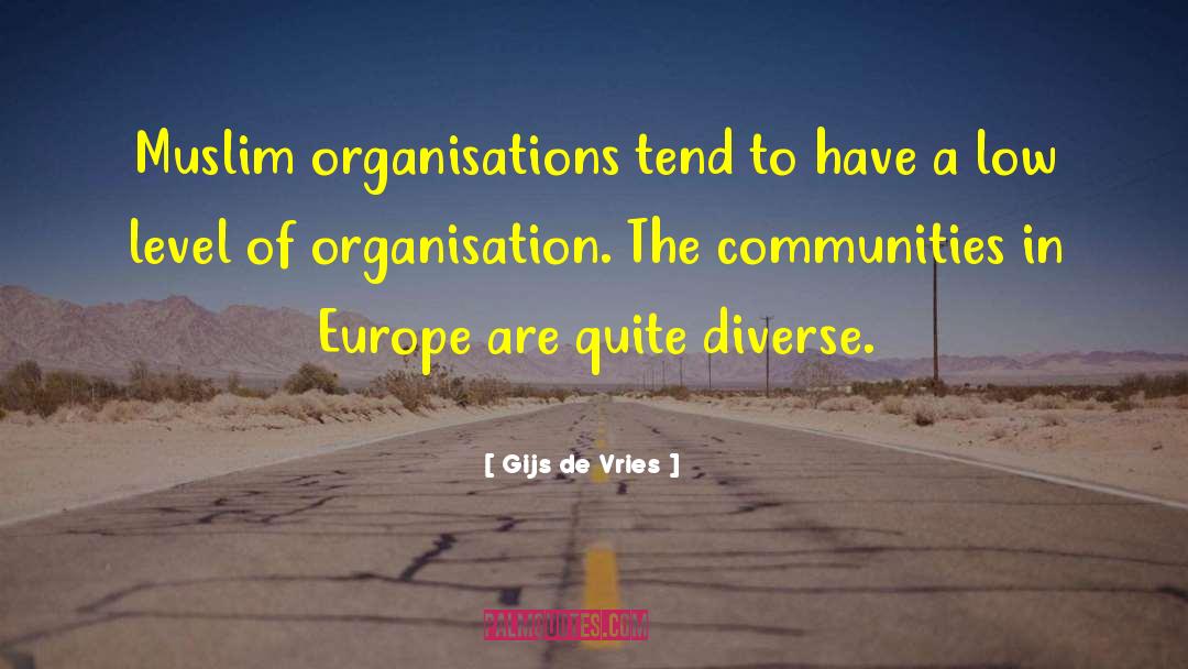 Gijs De Vries Quotes: Muslim organisations tend to have