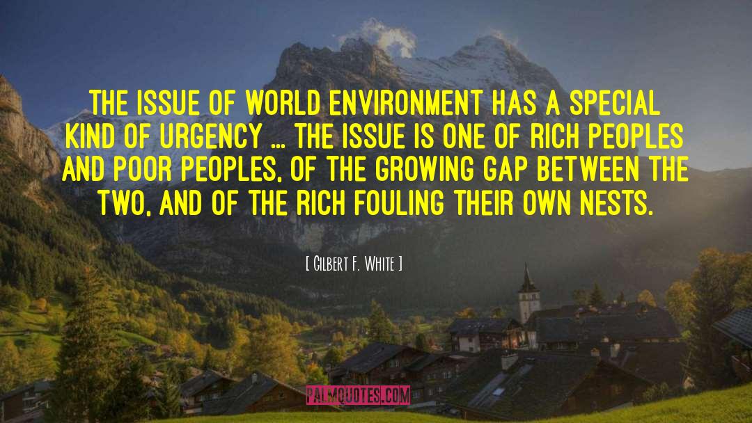 Gilbert F. White Quotes: The issue of world environment