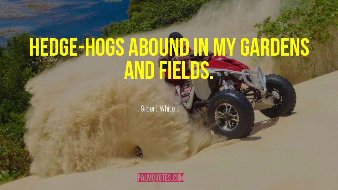 Gilbert White Quotes: Hedge-hogs abound in my gardens
