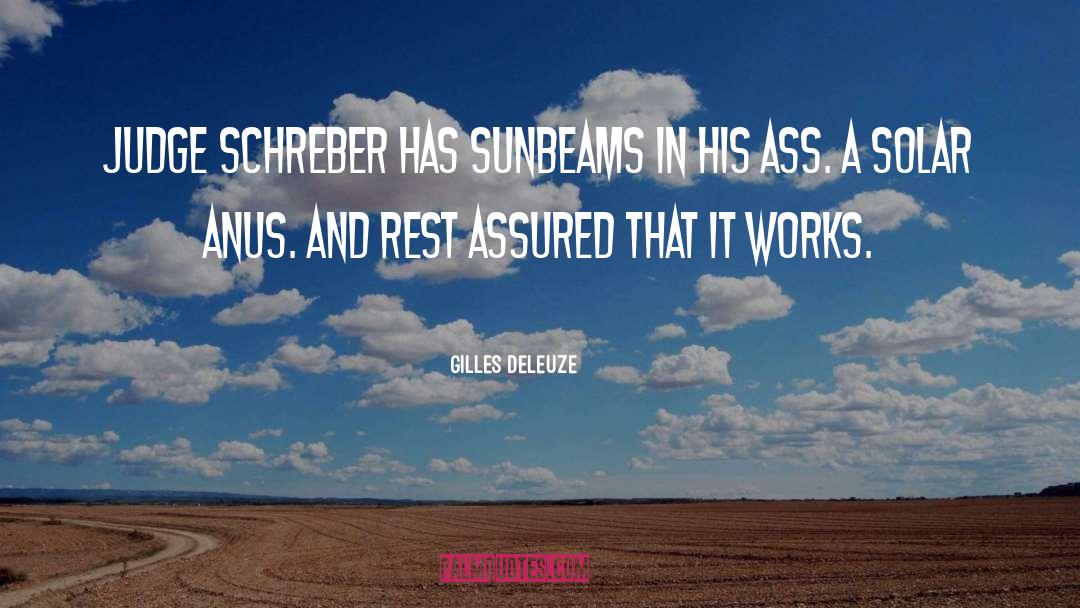 Gilles Deleuze Quotes: Judge Schreber has sunbeams in