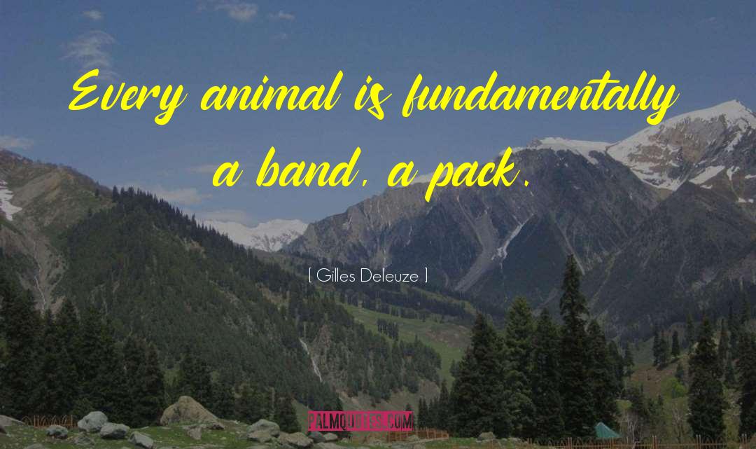 Gilles Deleuze Quotes: Every animal is fundamentally a