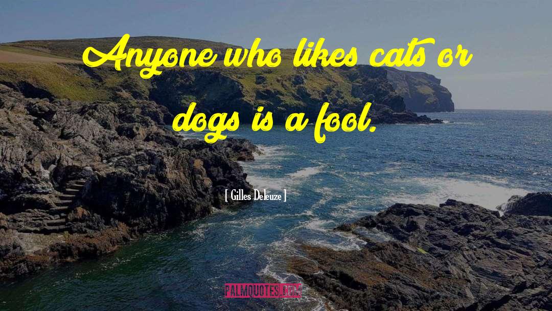 Gilles Deleuze Quotes: Anyone who likes cats or