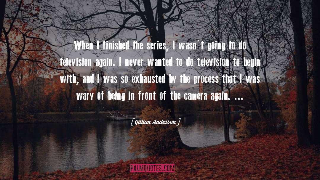 Gillian Anderson Quotes: When I finished the series,
