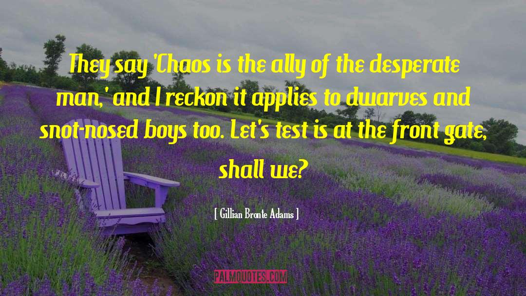 Gillian Bronte Adams Quotes: They say 'Chaos is the