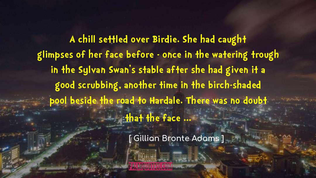 Gillian Bronte Adams Quotes: A chill settled over Birdie.