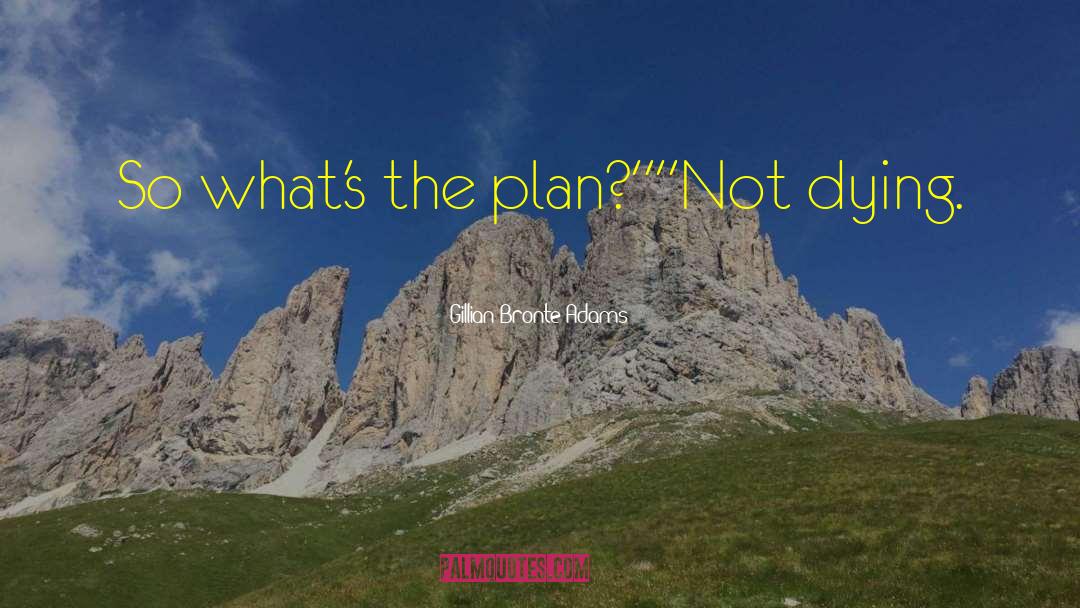 Gillian Bronte Adams Quotes: So what's the plan?