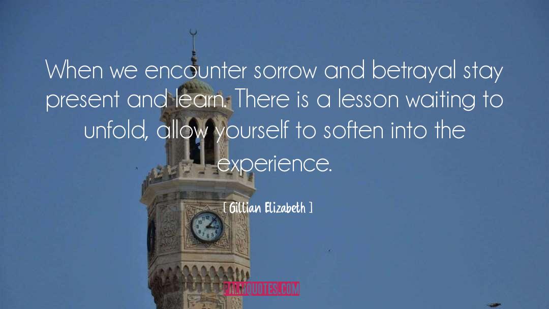 Gillian Elizabeth Quotes: When we encounter sorrow and