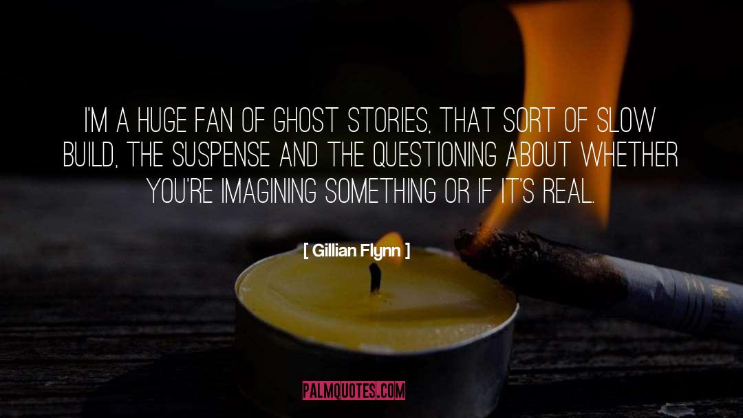 Gillian Flynn Quotes: I'm a huge fan of