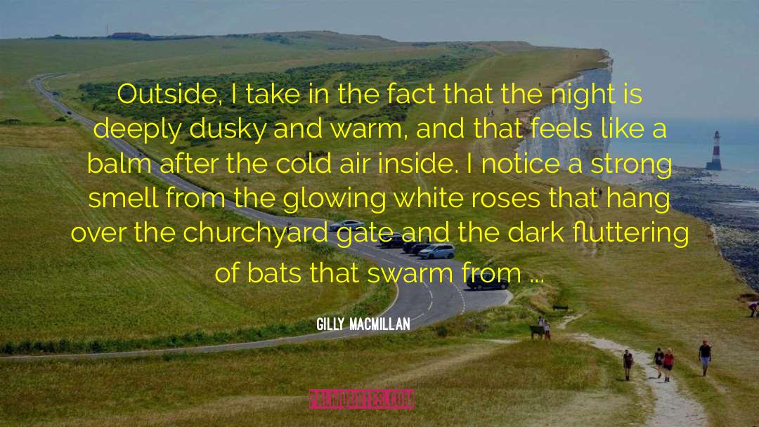 Gilly Macmillan Quotes: Outside, I take in the