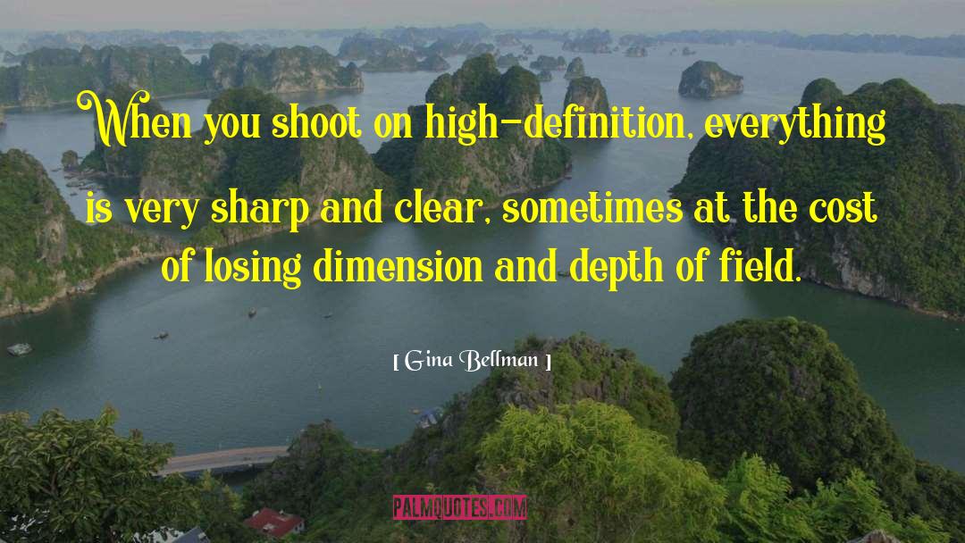 Gina Bellman Quotes: When you shoot on high-definition,