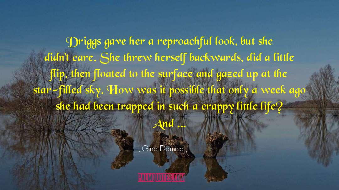 Gina Damico Quotes: Driggs gave her a reproachful