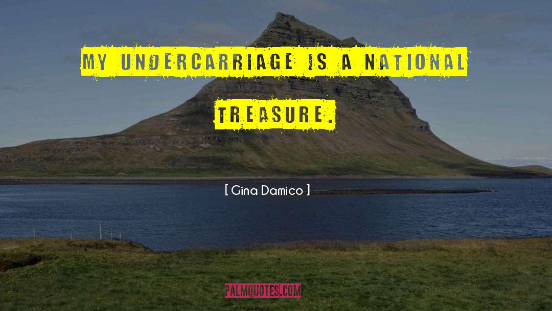 Gina Damico Quotes: My undercarriage is a national