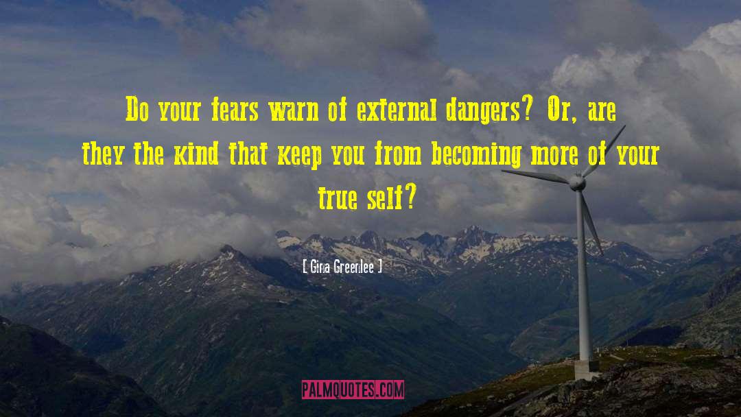 Gina Greenlee Quotes: Do your fears warn of