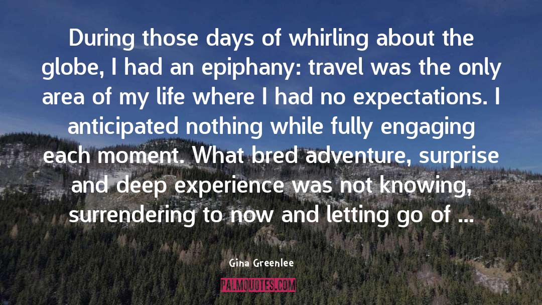 Gina Greenlee Quotes: During those days of whirling