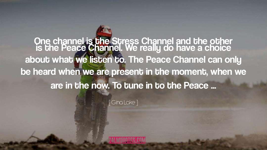 Gina Lake Quotes: One channel is the Stress