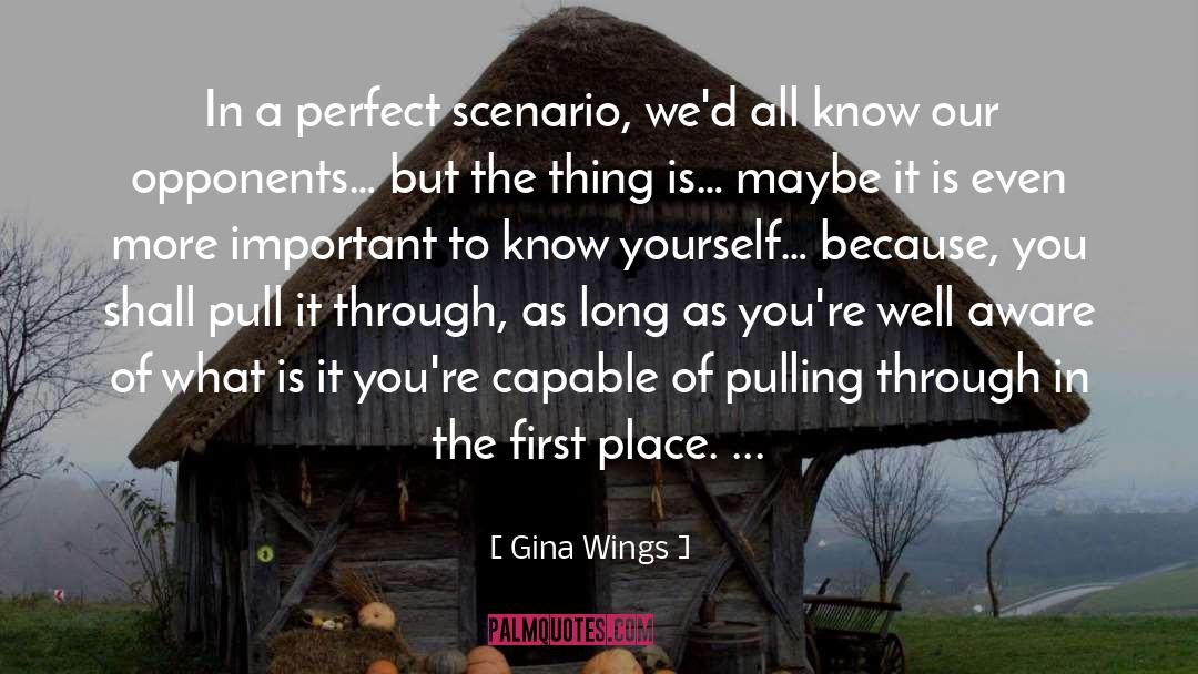 Gina Wings Quotes: In a perfect scenario, we'd