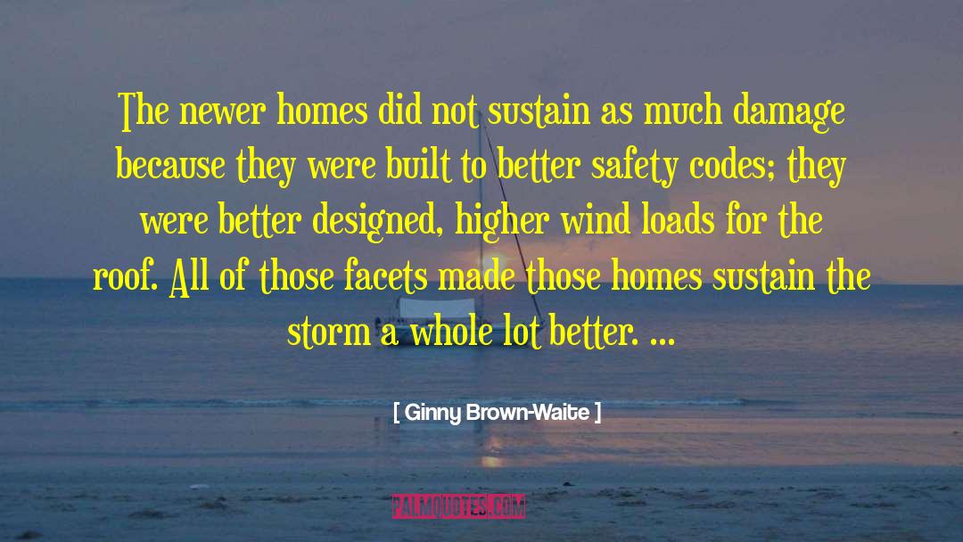 Ginny Brown-Waite Quotes: The newer homes did not