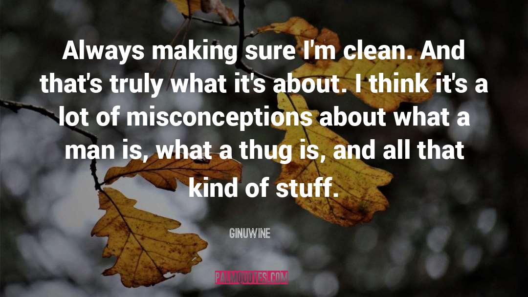 Ginuwine Quotes: Always making sure I'm clean.