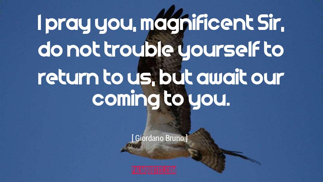 Giordano Bruno Quotes: I pray you, magnificent Sir,